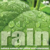 Rain cover artwork